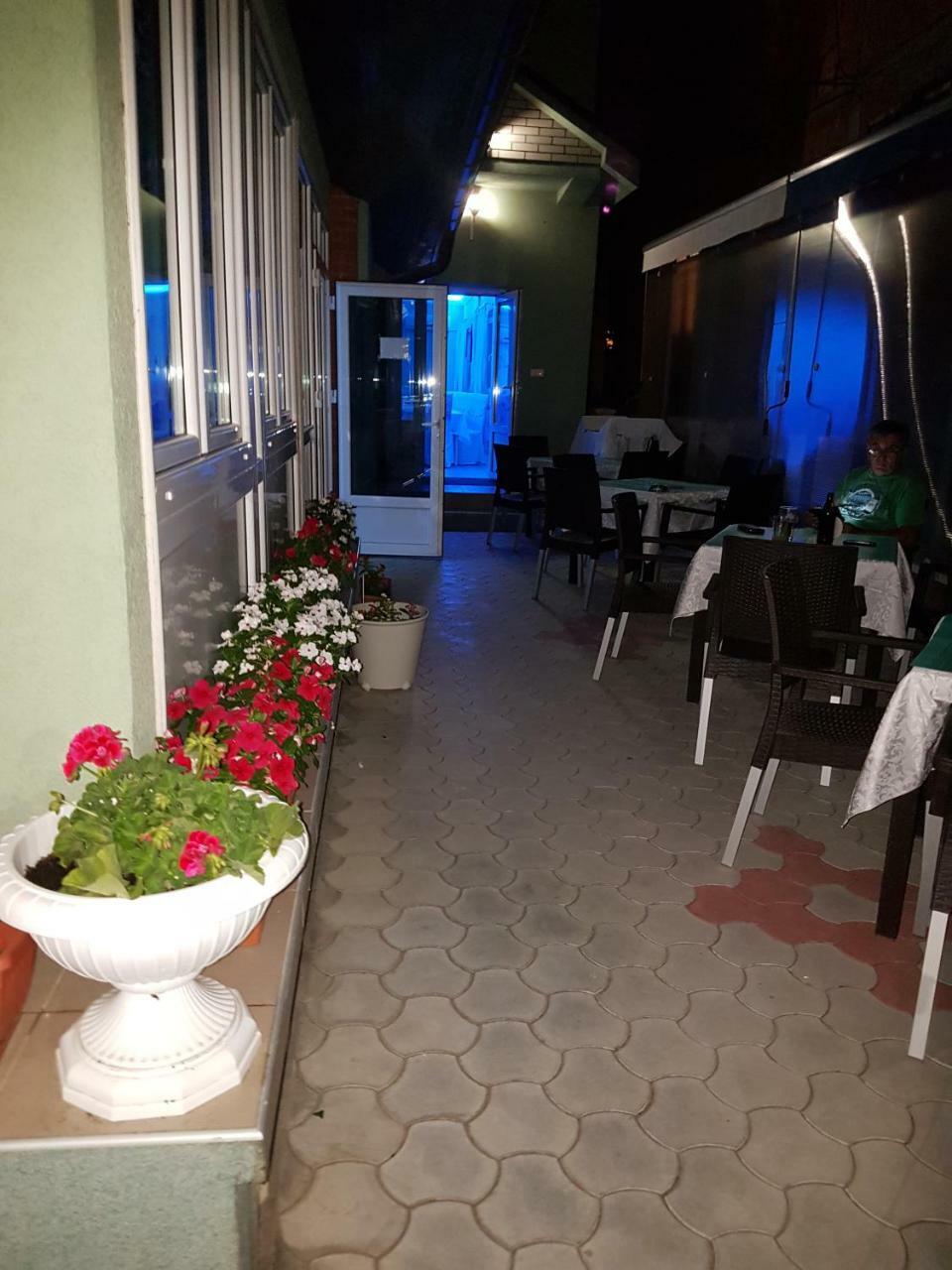 לינה וארוחת בוקר Veliko Gradište Golden Danube מראה חיצוני תמונה